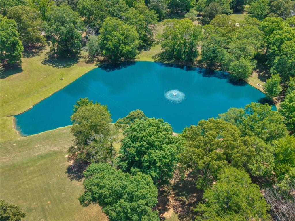 445 Patterson Road Property Photo 14