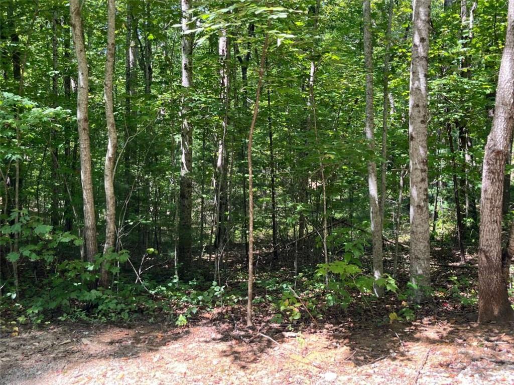 Lot 7 Forest Canopy Way Property Photo 1