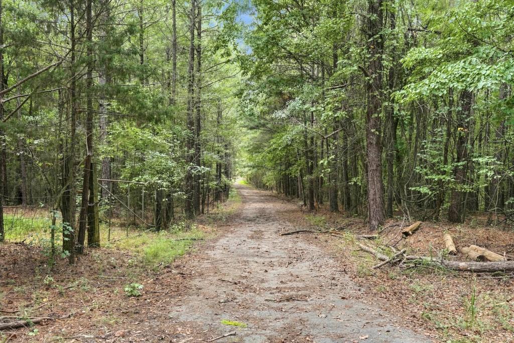 409 Peeples Road Se Property Photo 13