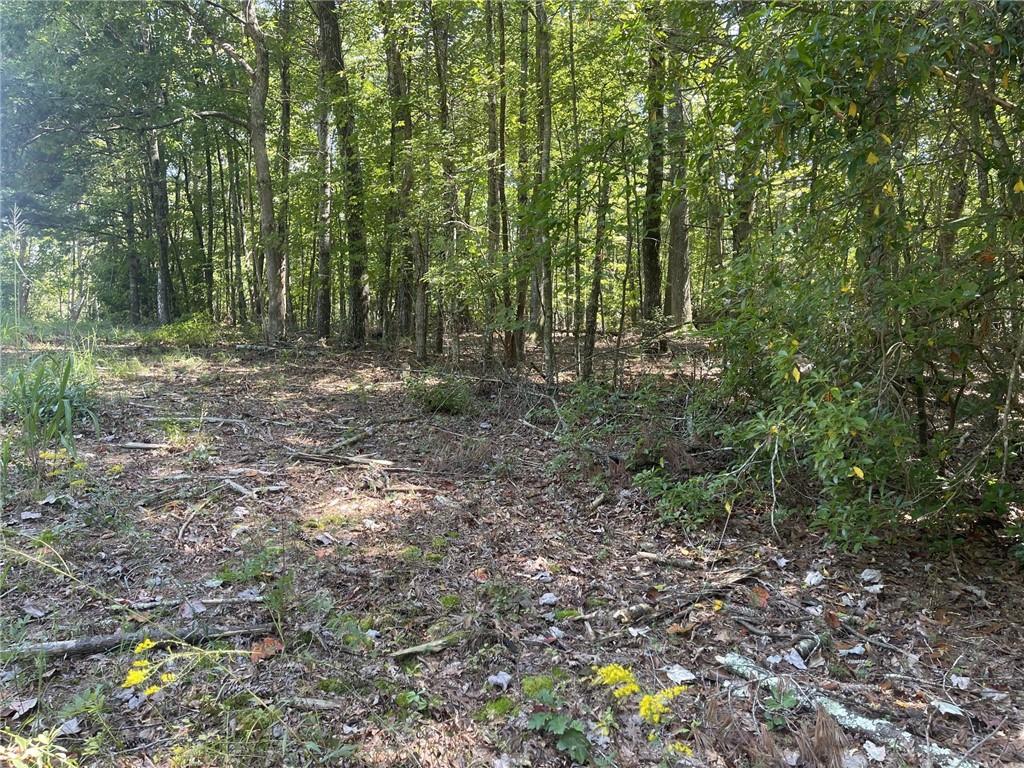 60 Oasis Drive Property Photo 76