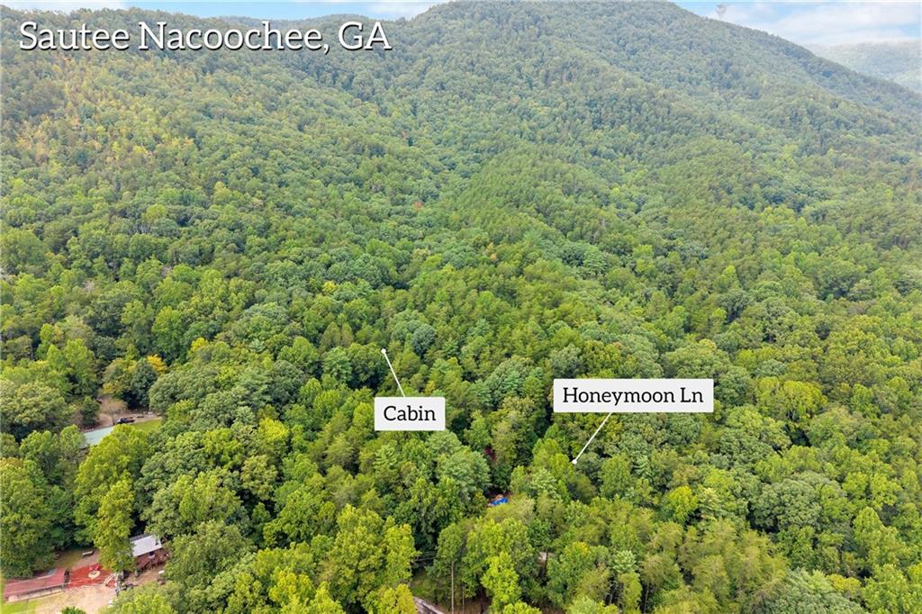 66 Lovers Lane Property Photo 30