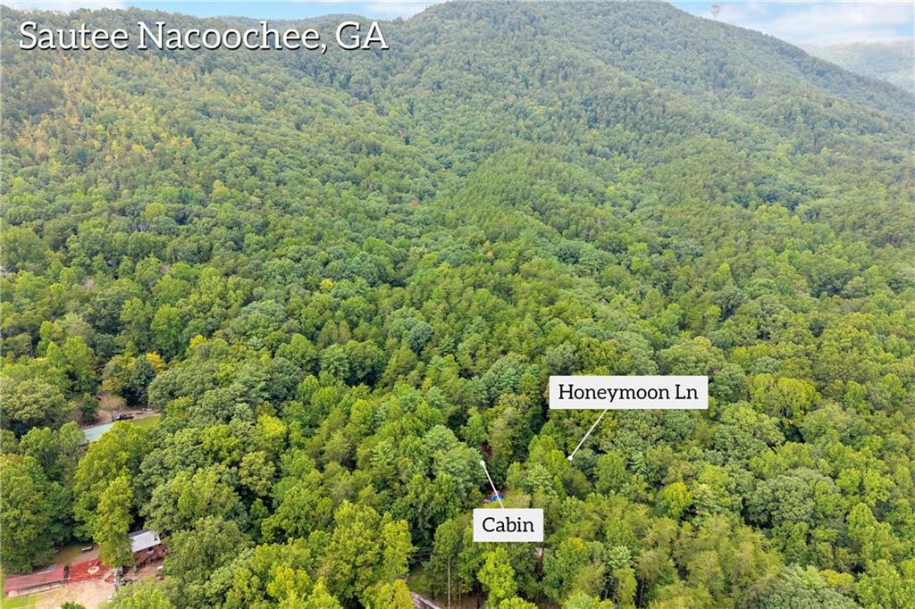 66 Lovers Lane Property Photo 97