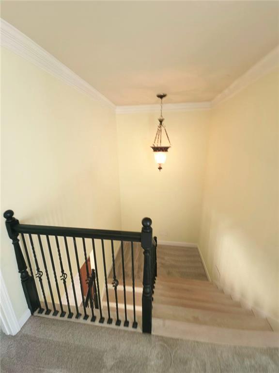 1753 Wheat Grass Way Property Photo 35