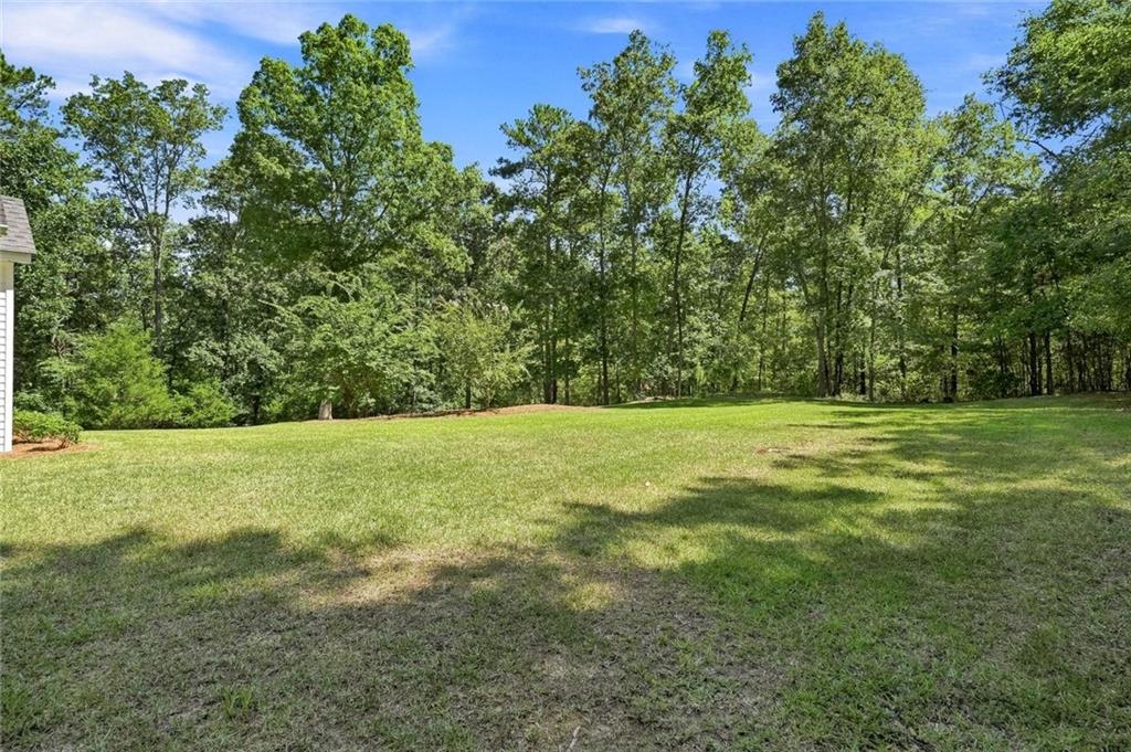 7833585 Property Photo 43