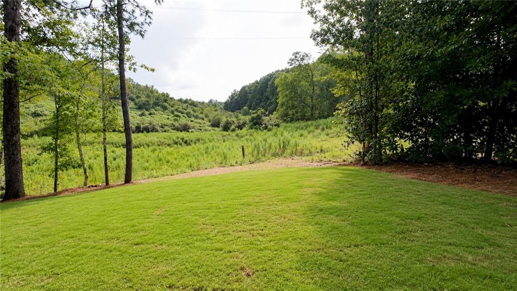 654 Bald Ridge Circle Property Photo 22