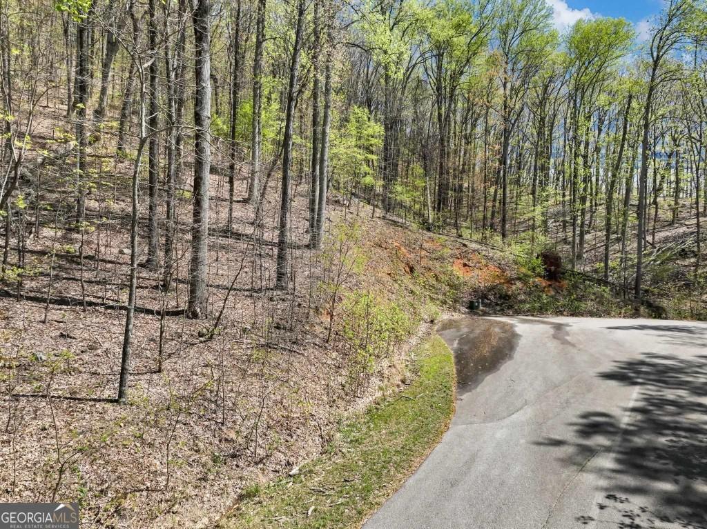 0 Stone Cliff Trace Property Photo 2