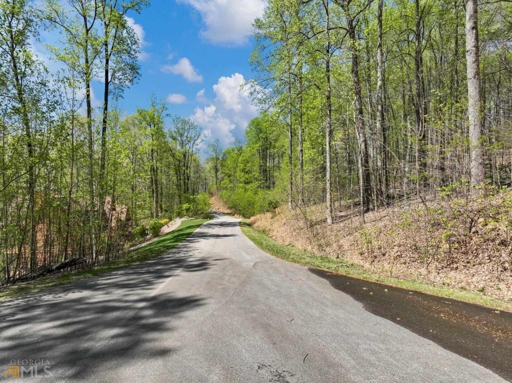 0 Stone Cliff Trace Property Photo 3