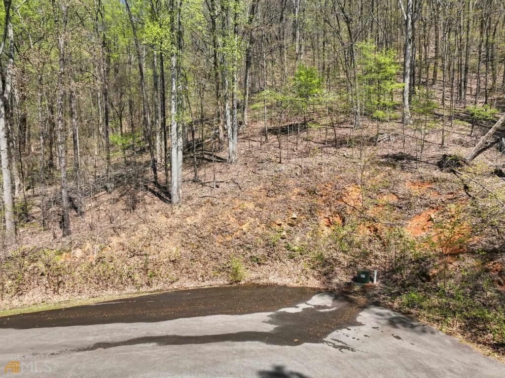 0 Stone Cliff Trace Property Photo 4
