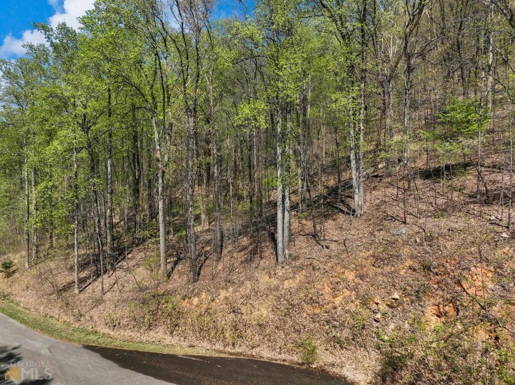 0 Stone Cliff Trace Property Photo 5