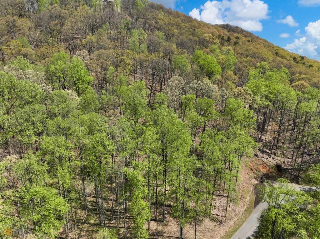 0 Stone Cliff Trace Property Photo 6