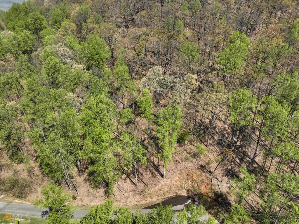 0 Stone Cliff Trace Property Photo 7