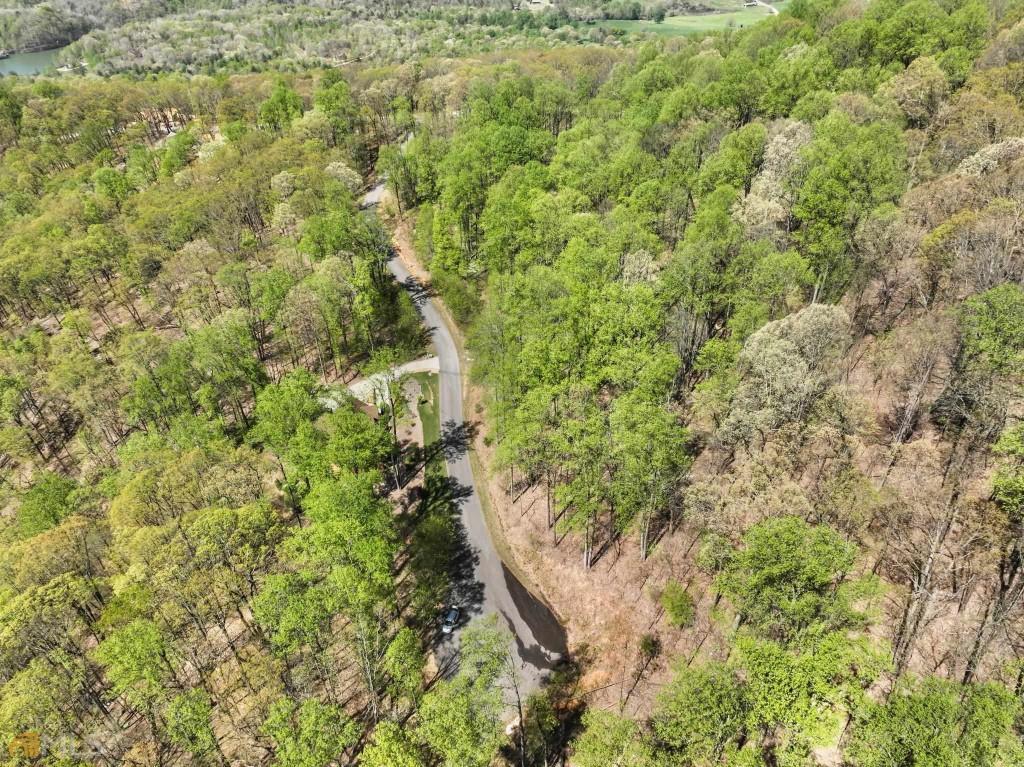 0 Stone Cliff Trace Property Photo 12
