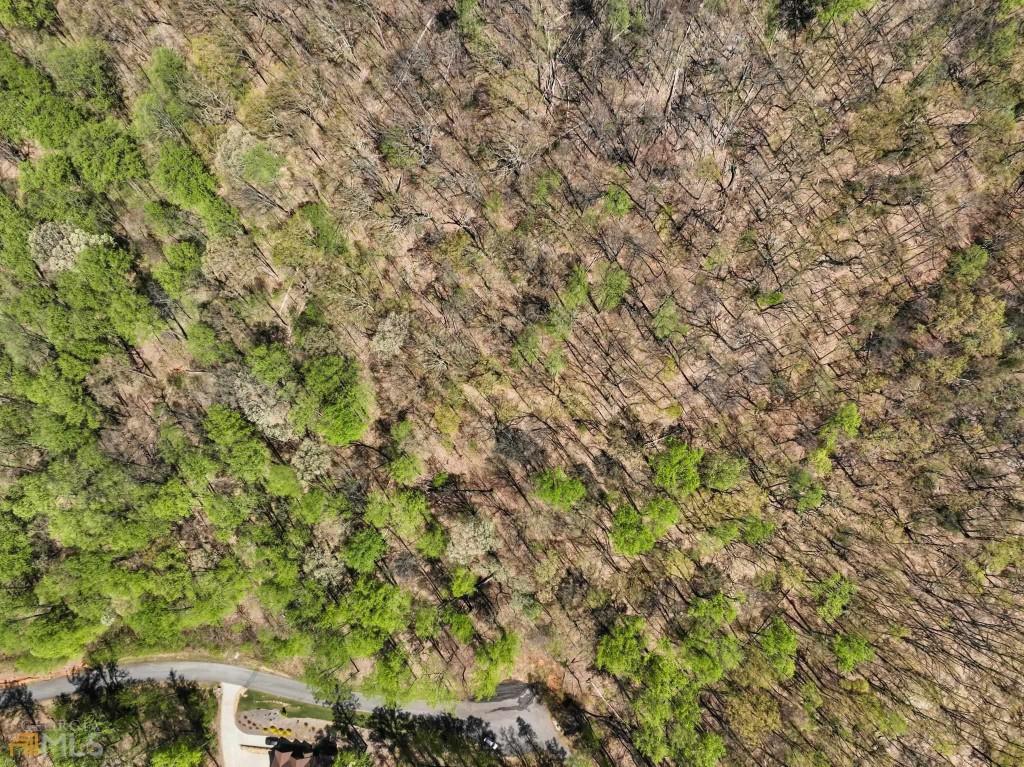 0 Stone Cliff Trace Property Photo 13