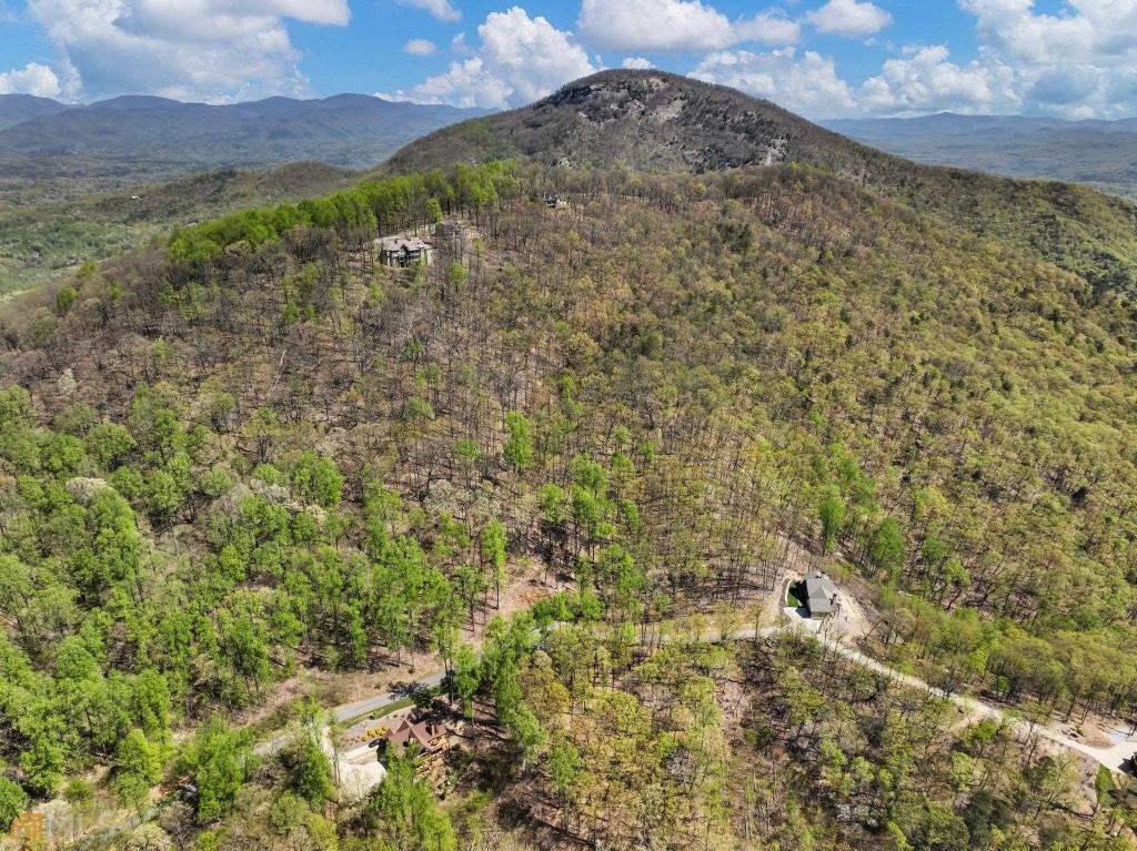 0 Stone Cliff Trace Property Photo 14