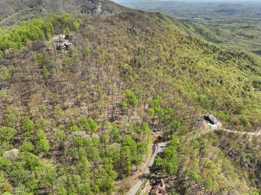 0 Stone Cliff Trace Property Photo 15