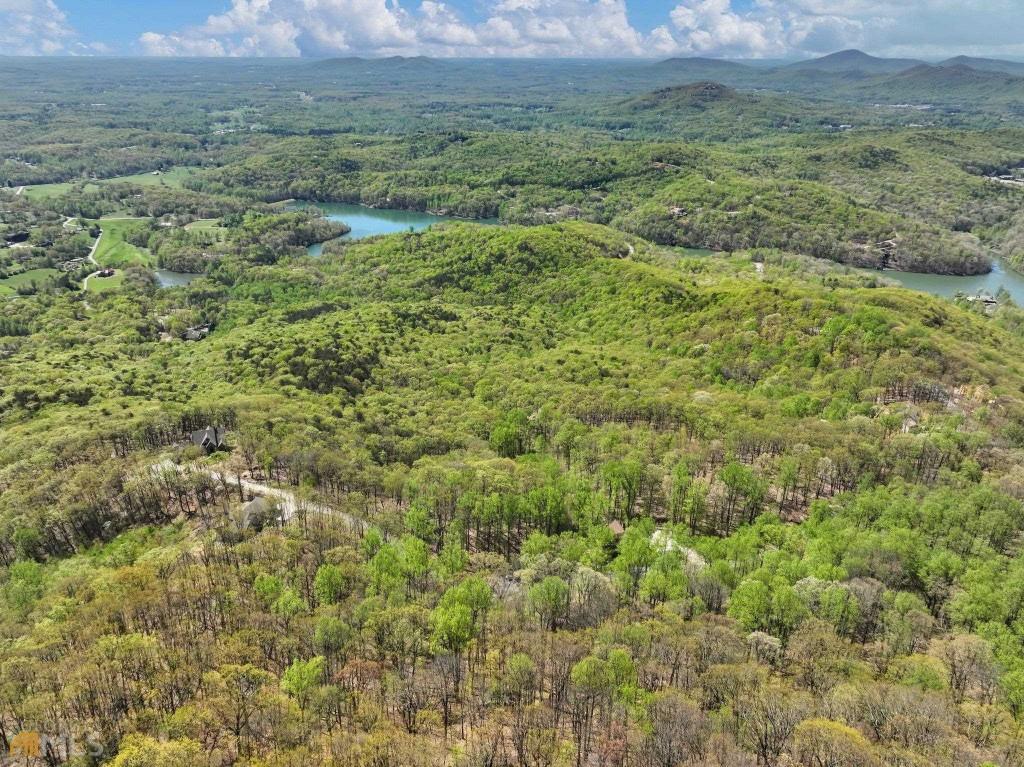 0 Stone Cliff Trace Property Photo 16