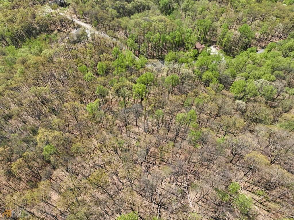 0 Stone Cliff Trace Property Photo 17