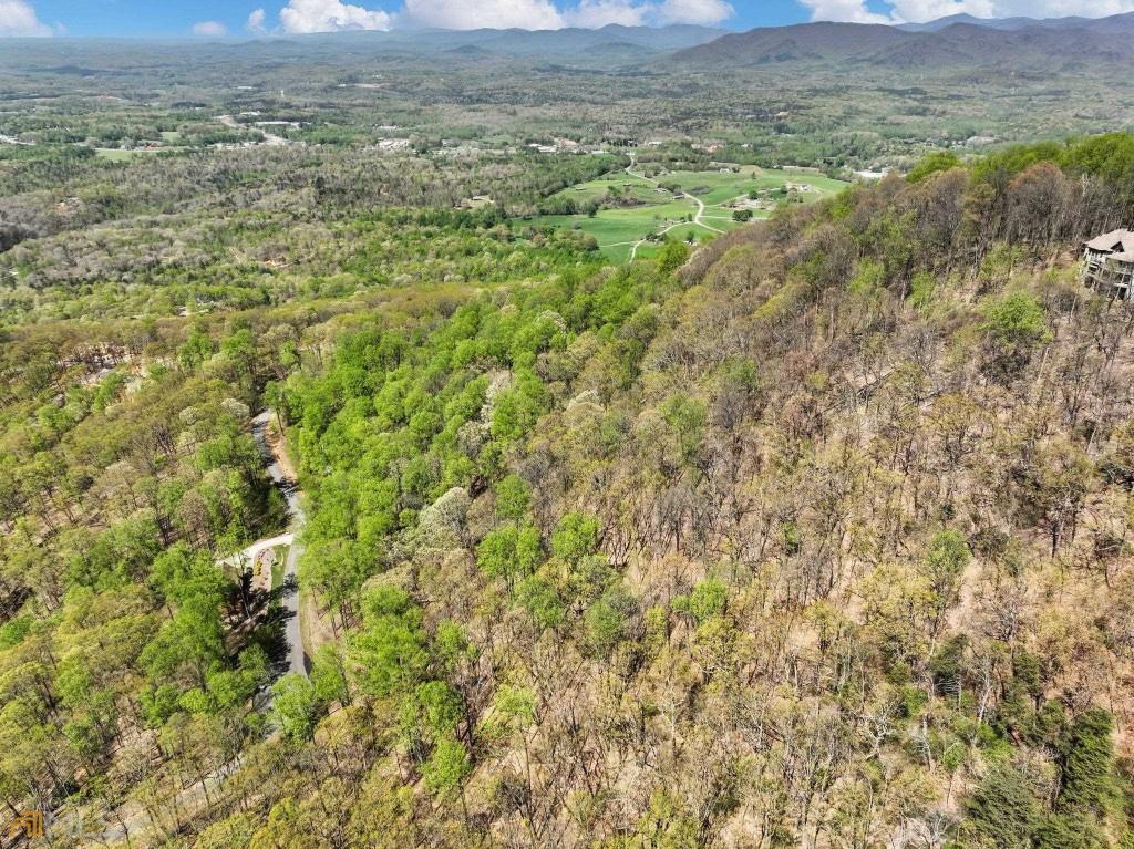 0 Stone Cliff Trace Property Photo 18