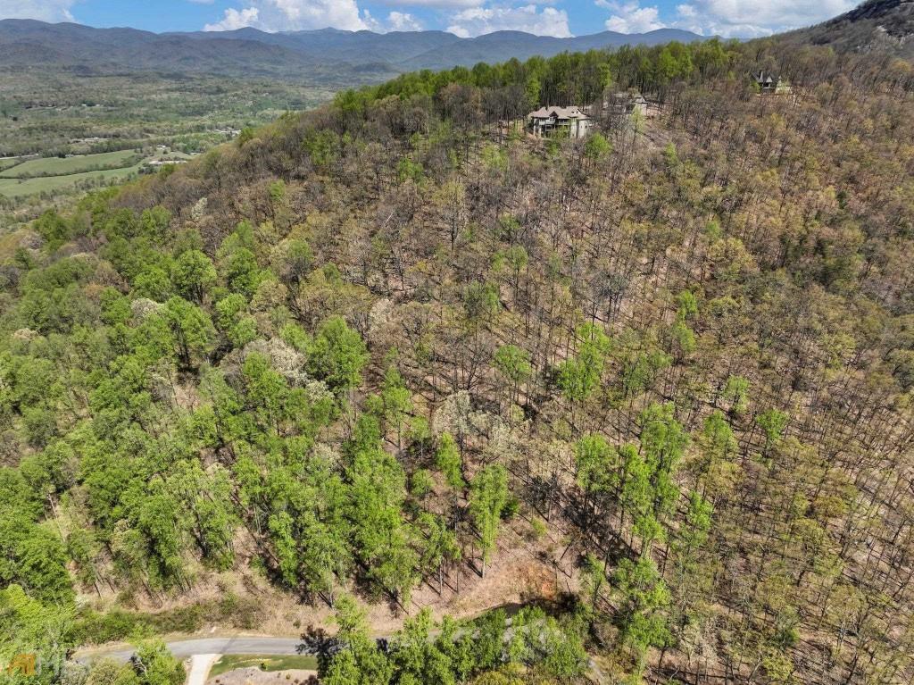 0 Stone Cliff Trace Property Photo 19