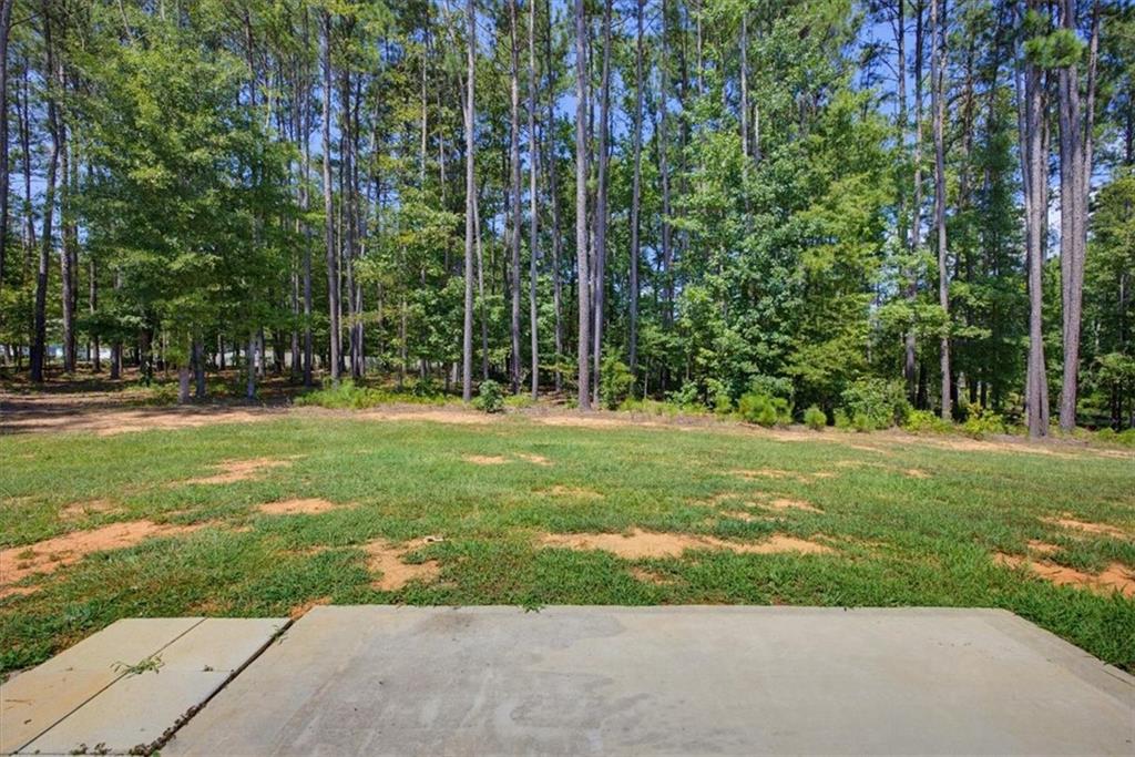 62 Windrow Trail Property Photo 30