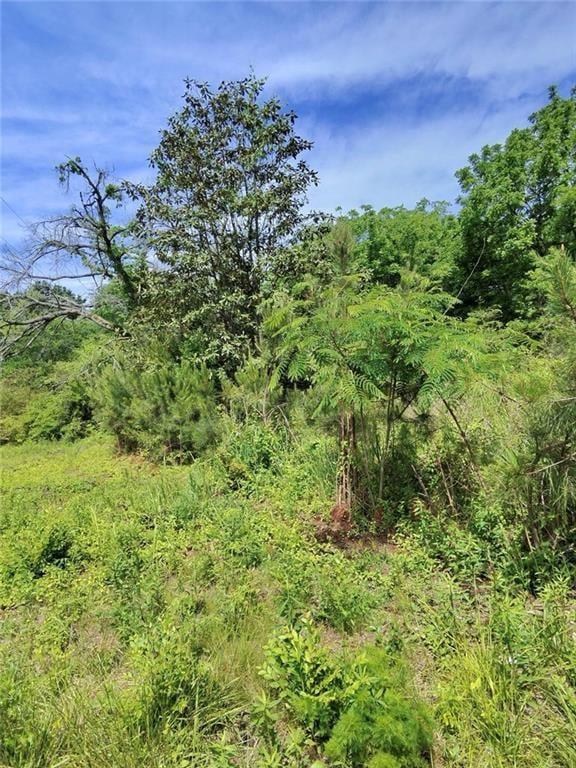 479 Sandytown Property Photo 7