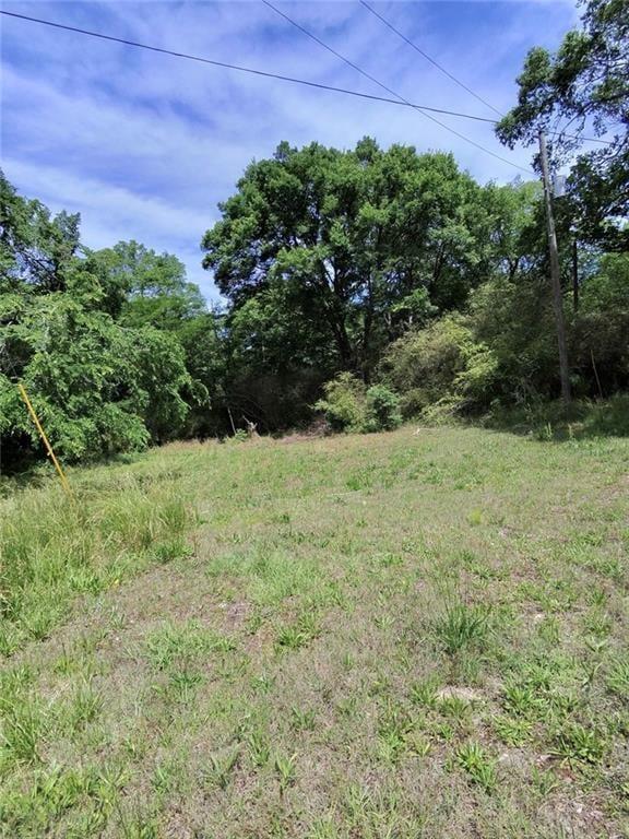 479 Sandytown Property Photo 11