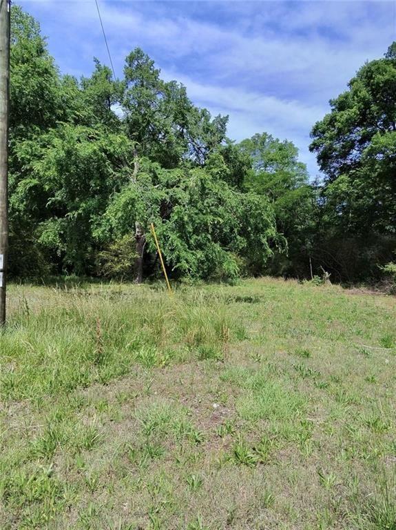 479 Sandytown Property Photo 12