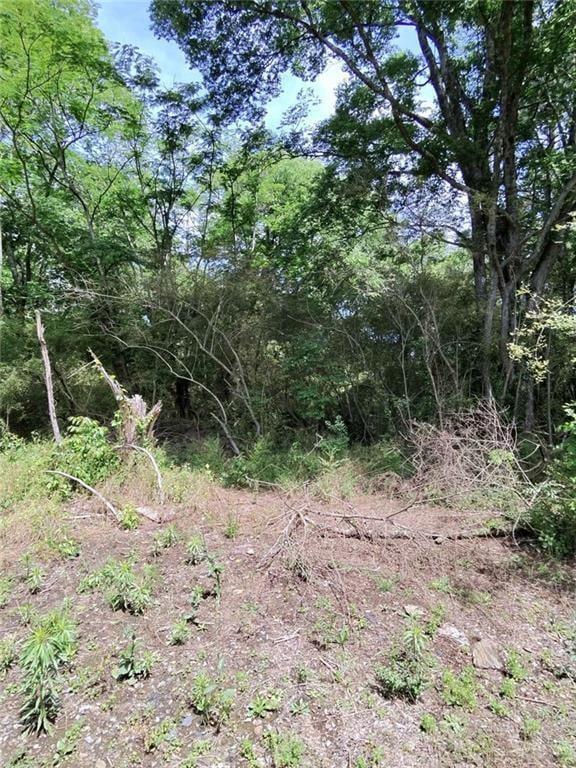 479 Sandytown Property Photo 14