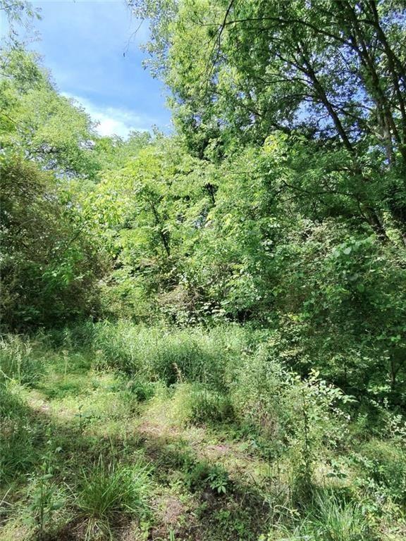 479 Sandytown Property Photo 16
