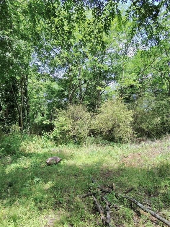 479 Sandytown Property Photo 18
