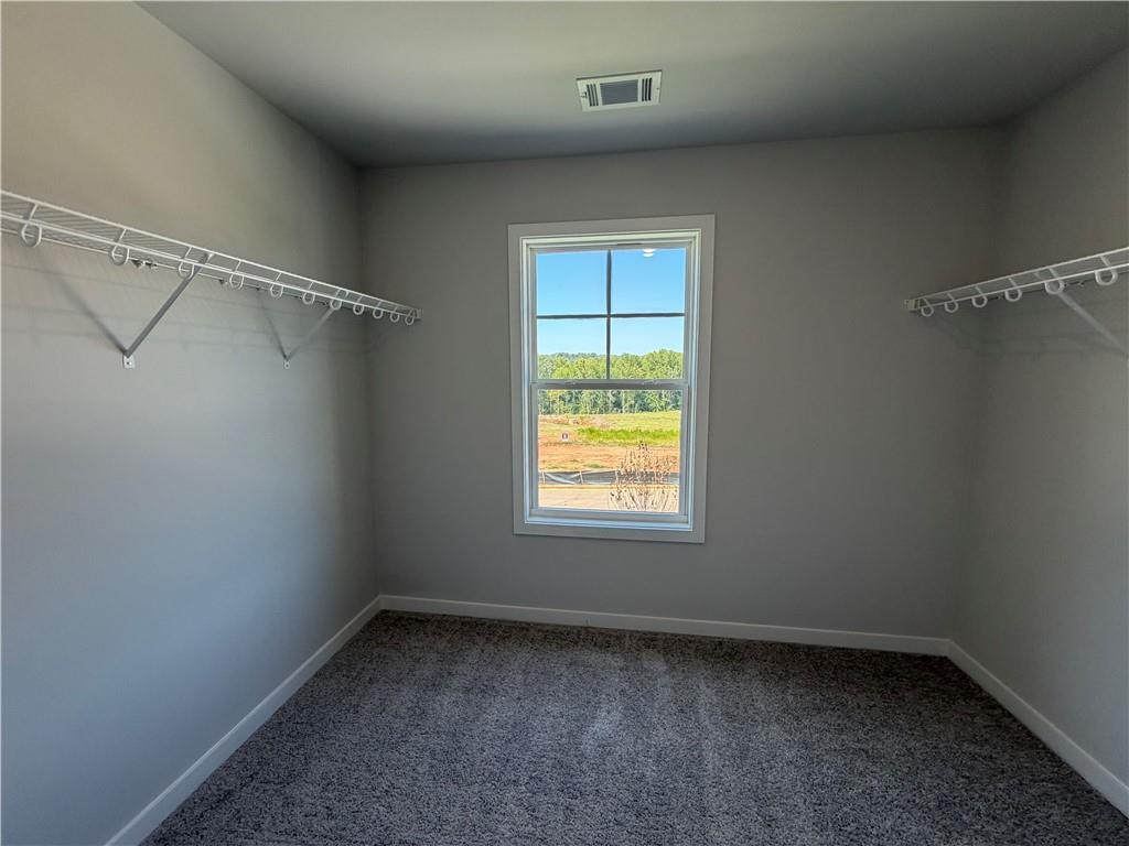 17 Bufflehead Pass Property Photo 29