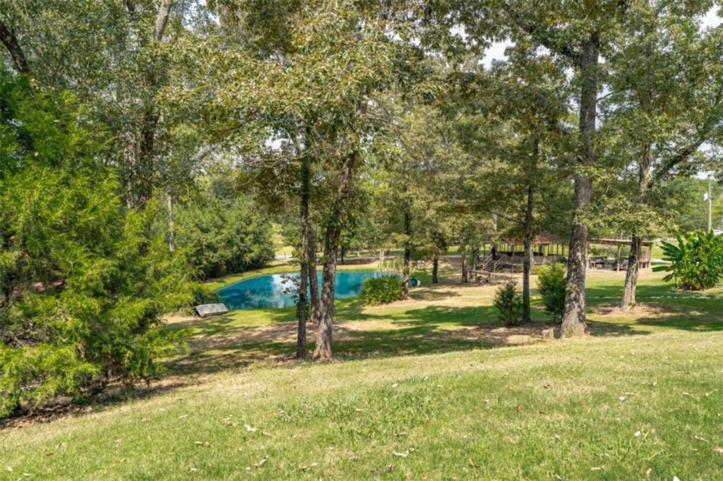 254 Biddy Road Property Photo 5