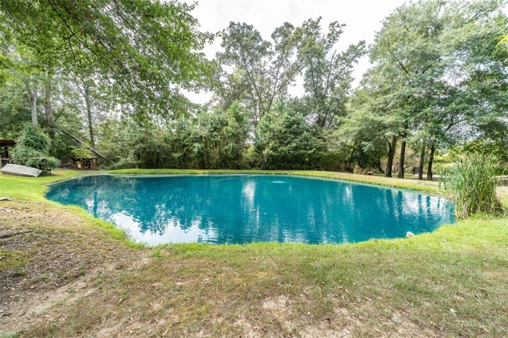 254 Biddy Road Property Photo 28