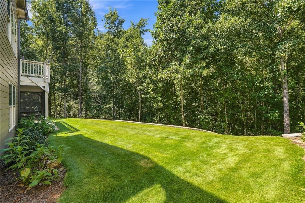 111 Cadence Trail Property Photo 63