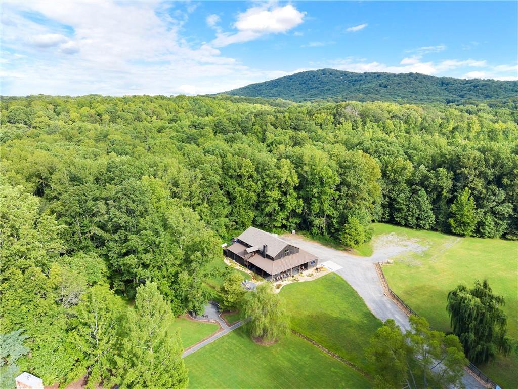 253 Happy Trails Way Property Photo 4