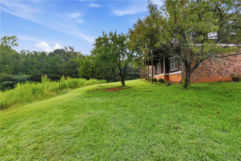 7226 Tyree Road Property Photo 73