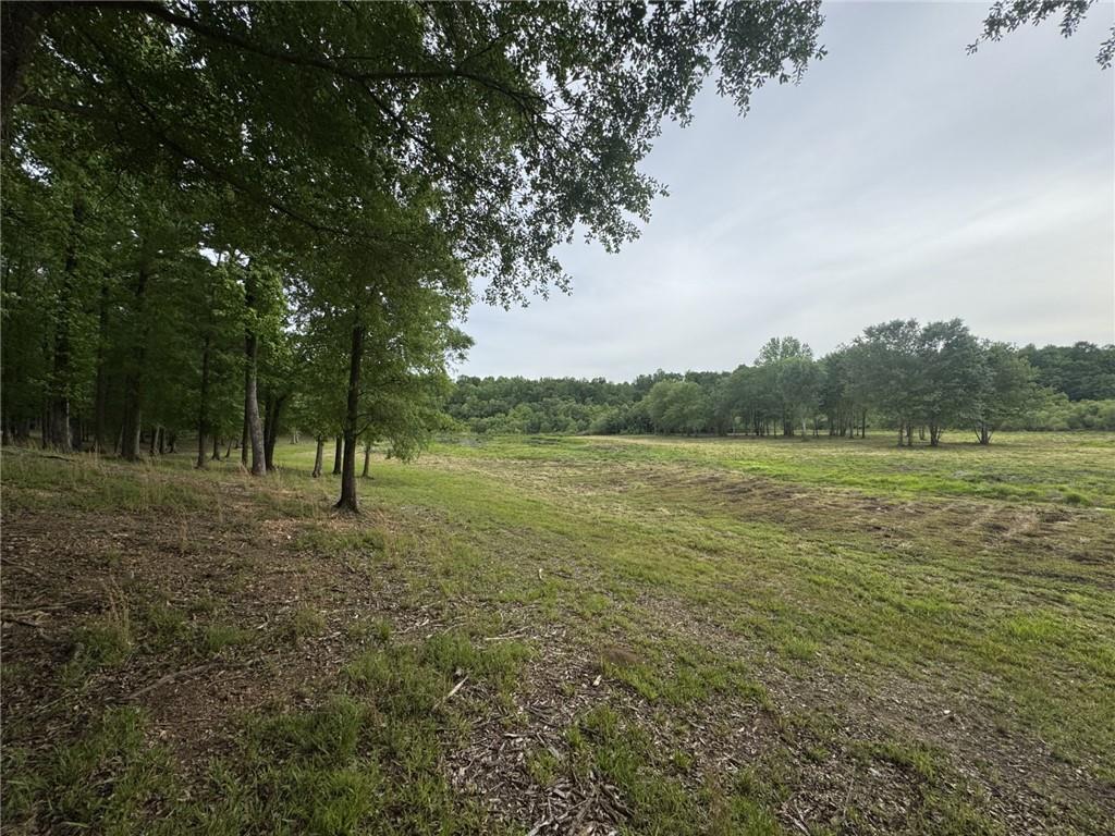 731 Borders Road Property Photo 5