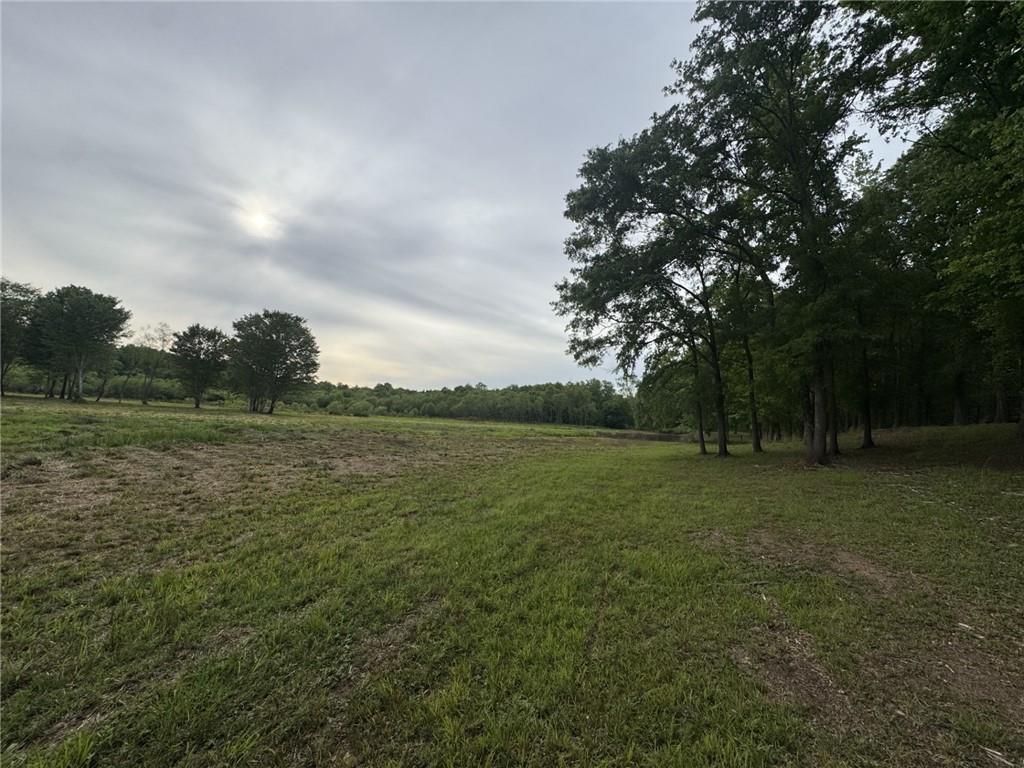 731 Borders Road Property Photo 6