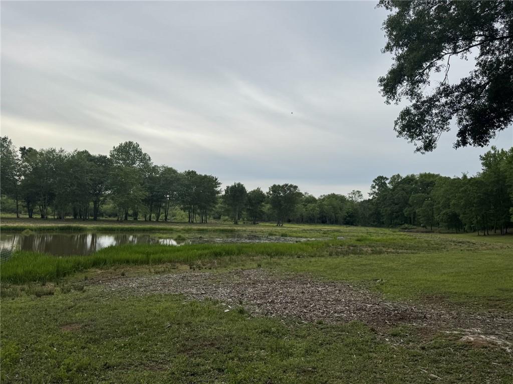 731 Borders Road Property Photo 51