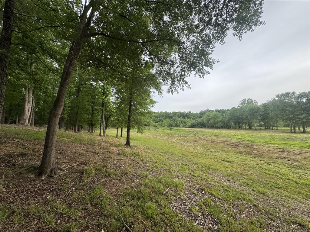 731 Borders Road Property Photo 52