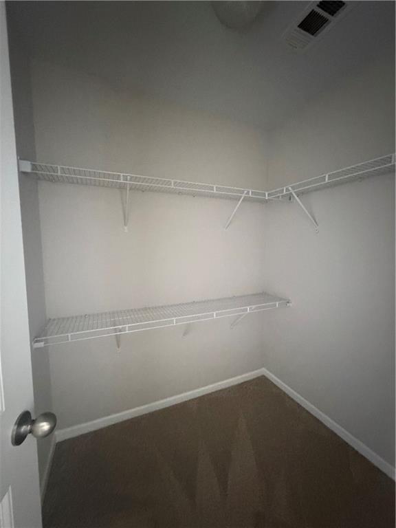 428 Blue Sky Circle Property Photo 19