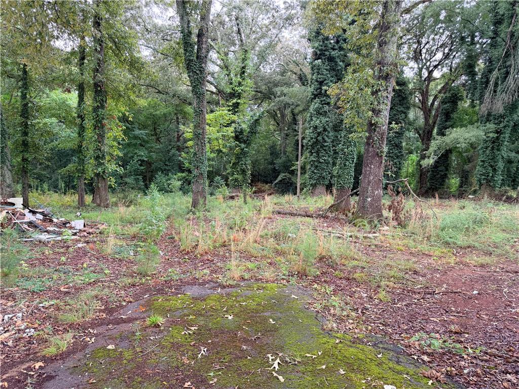 412 E Mcintosh Road Property Photo 14