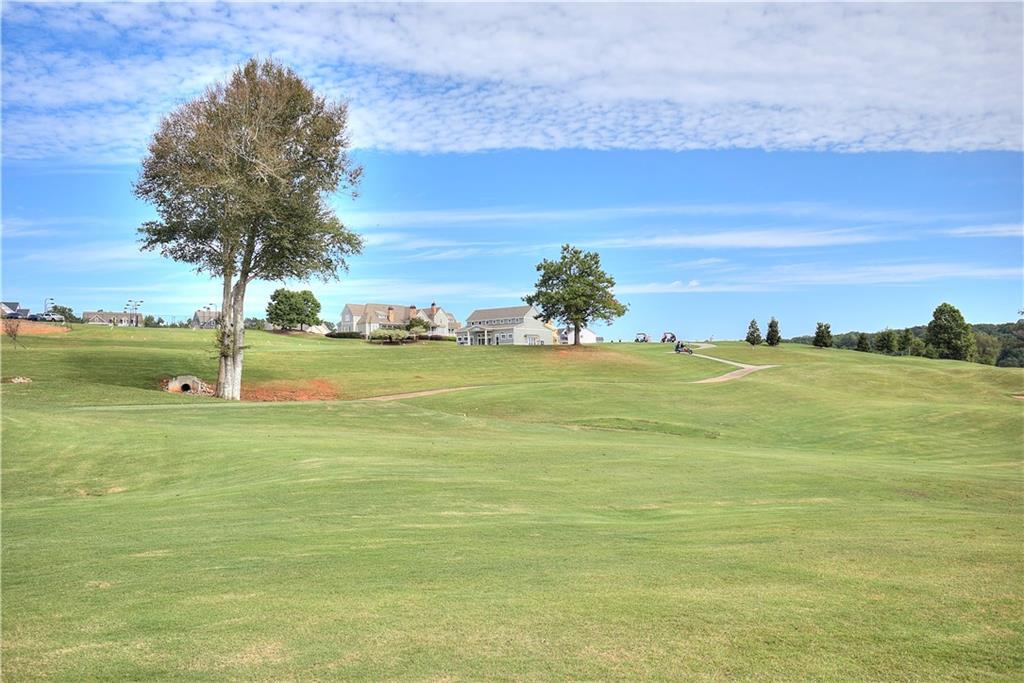 166 Classic Overlook Property Photo 29