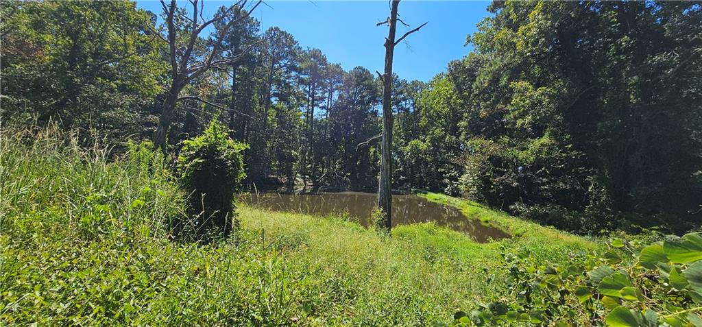 7319 Covington Highway Property Photo 12