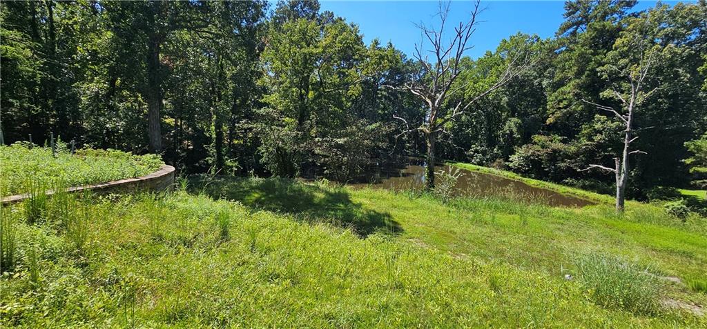 7319 Covington Highway Property Photo 13