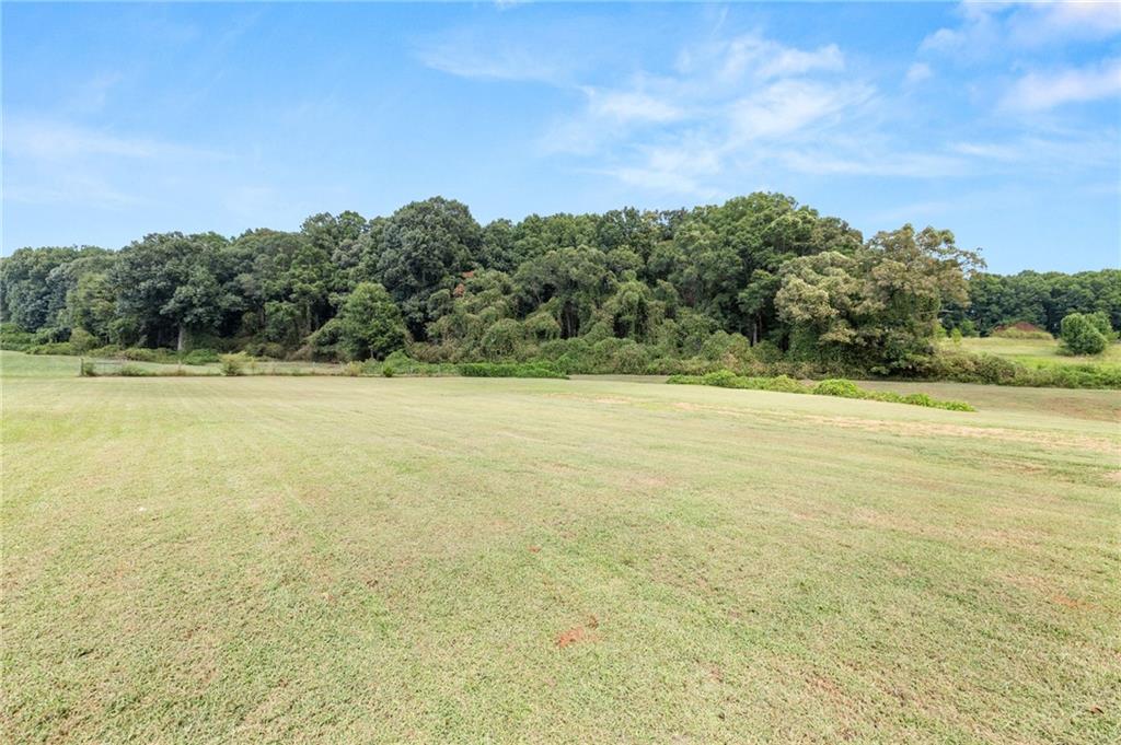 4597 Highway 334 Property Photo 27