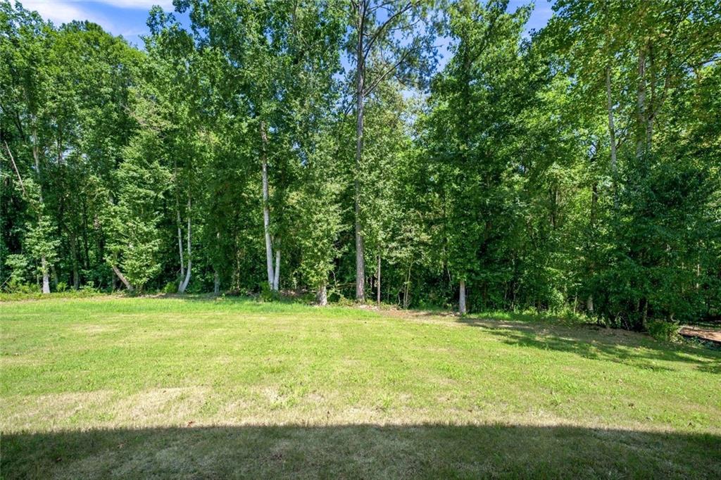 2541 Aniki Bee Drive Property Photo 41