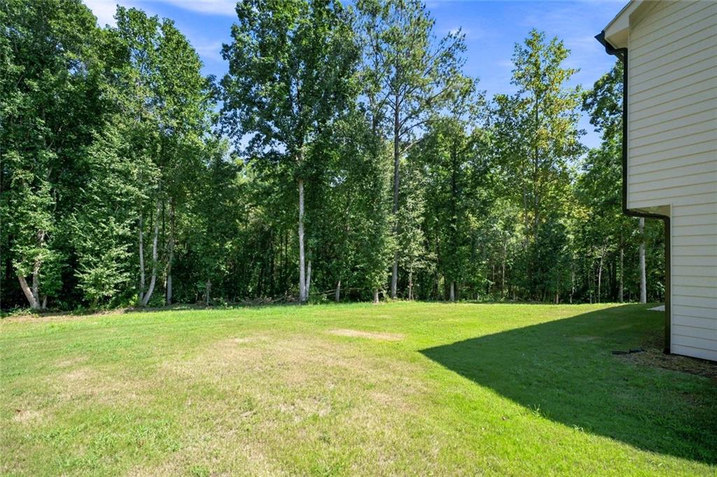 2541 Aniki Bee Drive Property Photo 44