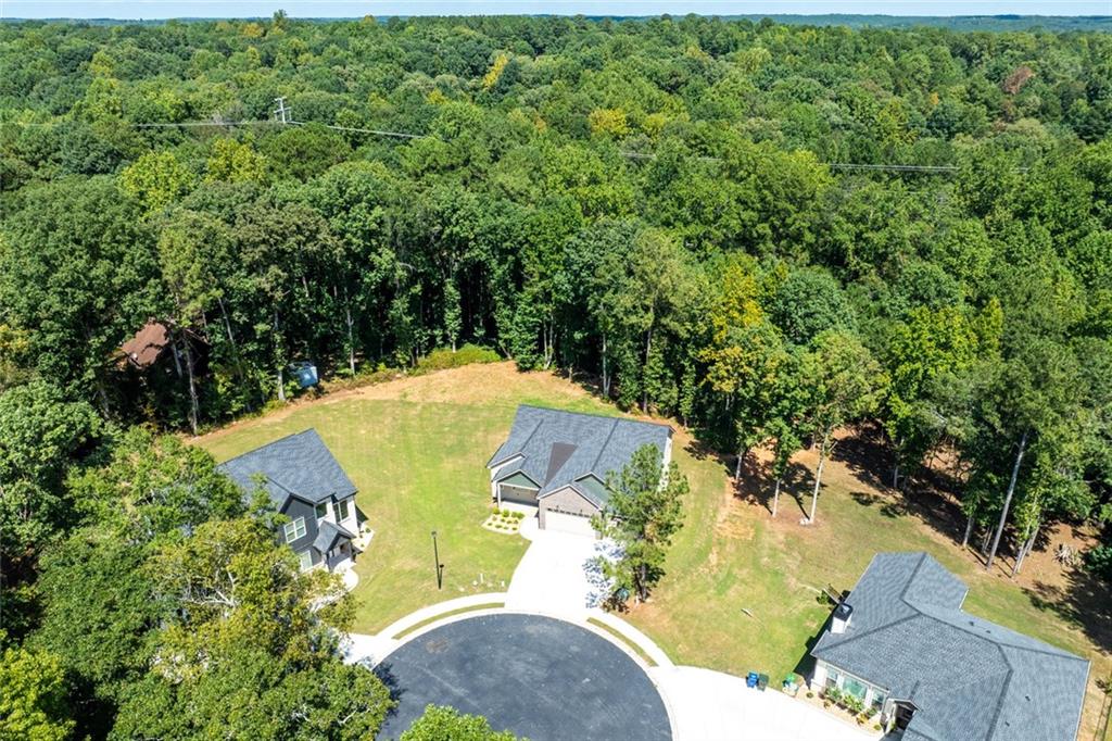 2541 Aniki Bee Drive Property Photo 48