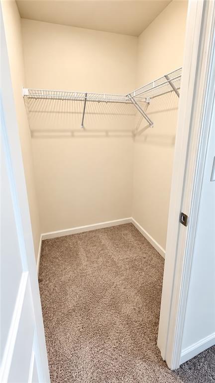 2498 Argento Circle Property Photo 21